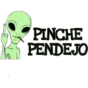 PINCHE
PENDEJO
