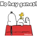 No hay ganas!
@adolfoojose