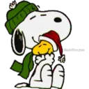@adoifoojose