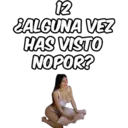 12 ¿ALGUNA VEZ HAS VISTO NOPOR?