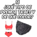 16 ¿QUÉ TIPO DE PRENDA TRAES Y DE QUE COLOR? SHEN