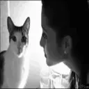 Michis Mov. 25
