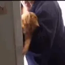 Michis Mov. 3