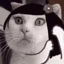 Michis Mov. 14