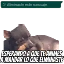 Ya vi.. para que borras? 28