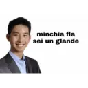 Insulti 4.0 7