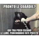 Insulti 4.0 4