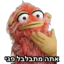 אתה מתבלבל פגי