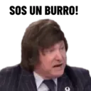 SOS UN BURRO!