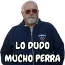 RG LO DUDO MUCHO PERRA
