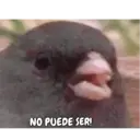 NO PUEDE SER!