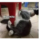Mi camita El trabajo