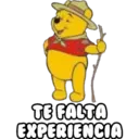 TE FALTA
EXPERIENCIA