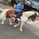 Jorgito Guayaco  Mov 25