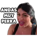 ANDAS MUY PERRA CMO