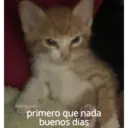 Primero que nada, buenos dias 3
