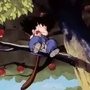 Dragon Ball (Goku) 11