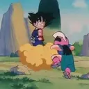 Dragon Ball (Goku) 16