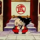 Dragon Ball (Goku) 25