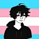 Trans icons 25
