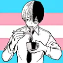 Trans icons 1