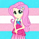 Trans icons 11