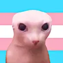 Trans icons 28