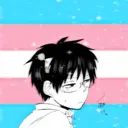 Trans icons 13