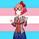 Trans icons 21