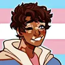 Trans icons 20