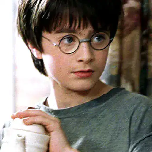 Harry Potter Mov 29