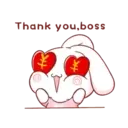Aini rabbit MOV 6