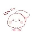 Aini rabbit MOV 1