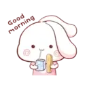 Aini rabbit MOV 16