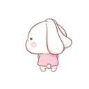 Aini rabbit MOV 20