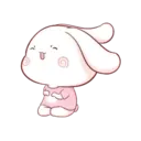 Aini rabbit MOV 8