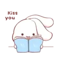 Aini rabbit MOV 10