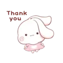 Aini rabbit MOV 5