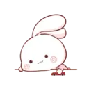 Aini rabbit MOV 7