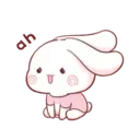 Aini rabbit MOV 23