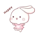 Aini rabbit MOV 11