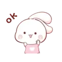 Aini rabbit MOV 24