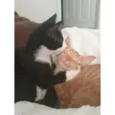 angery and smonch 26