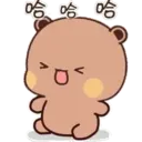dudu 6