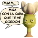 Gordon Tulip 3