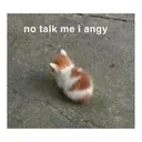 no talk me i angy