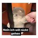 Nein ich will nicht gehen
