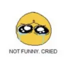 NOT FUNNY. CRIED