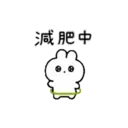 rabbit chan5(繁體字) 7
