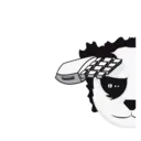 ReGenesis Panda 9